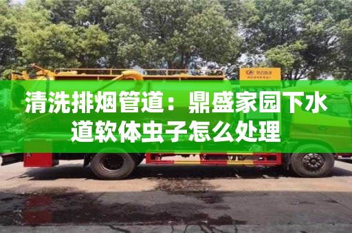 清洗排煙管道：鼎盛家園下水道軟體蟲子怎么處理