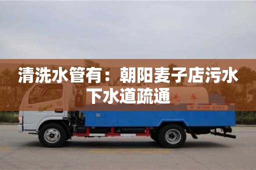 南京清洗水管有：朝陽麥子店污水下水道疏通