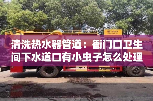 北京清洗熱水器管道：衙門口衛生間下水道口有小蟲子怎么處理