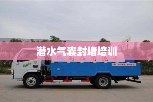 西安潛水氣囊封堵培訓