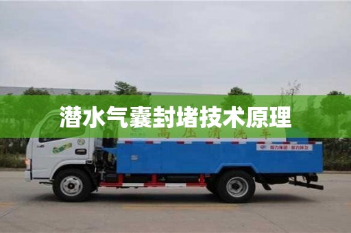 太原潛水氣囊封堵技術原理