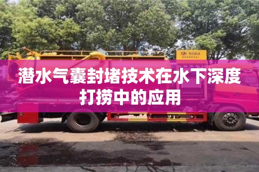 北京潛水氣囊封堵技術在水下深度打撈中的應用
