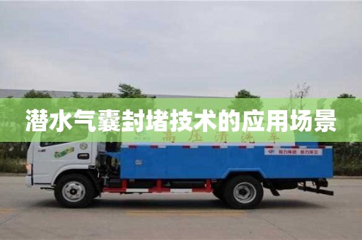 北京潛水氣囊封堵技術的應用場景