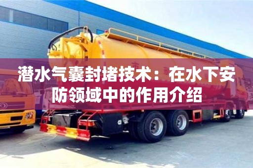 潛水氣囊封堵技術：在水下安防領域中的作用介紹