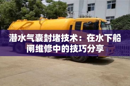 北京潛水氣囊封堵技術(shù)：在水下船閘維修中的技巧分享