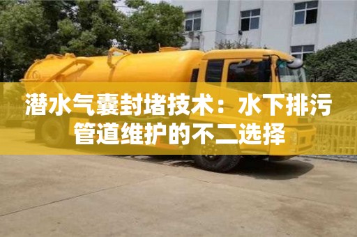 合肥潛水氣囊封堵技術(shù)：水下排污管道維護的不二選擇