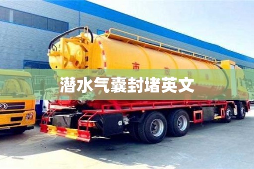 唐山潛水氣囊封堵英文