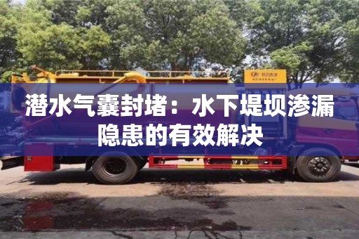 合肥潛水氣囊封堵：水下堤壩滲漏隱患的有效解決