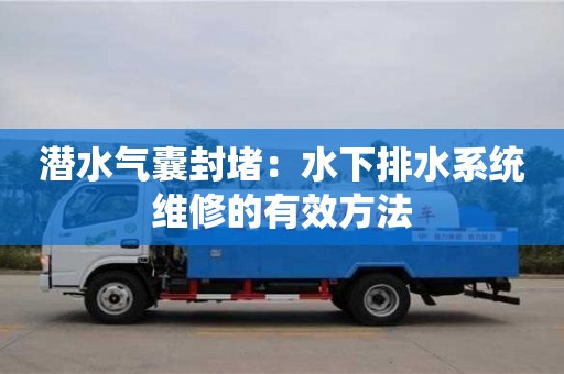 成都潛水氣囊封堵：水下排水系統(tǒng)維修的有效方法