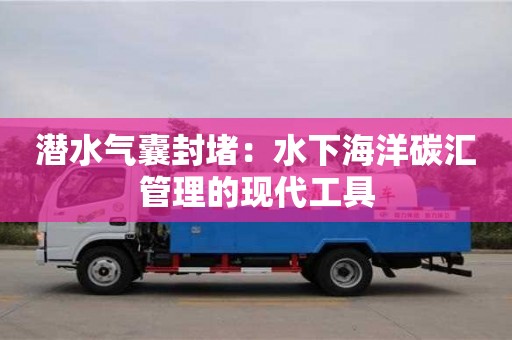 深圳潛水氣囊封堵：水下海洋碳匯管理的現代工具