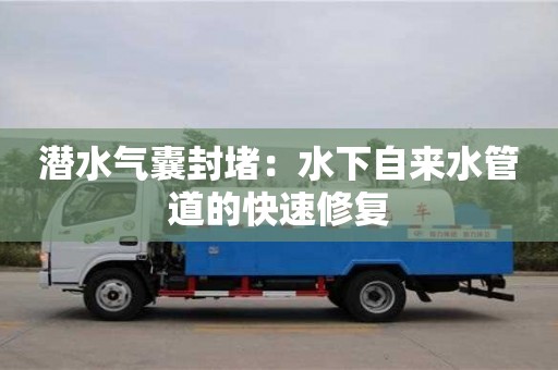 唐山潛水氣囊封堵：水下自來水管道的快速修復(fù)