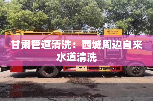 甘肅管道清洗：西城周邊自來水道清洗