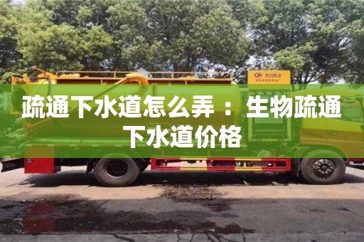 唐山疏通下水道怎么弄 ：生物疏通下水道價格