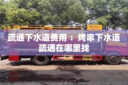 北京疏通下水道費(fèi)用 ：烤串下水道疏通在哪里找