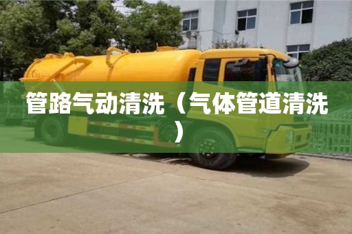 北京管路氣動清洗（氣體管道清洗）