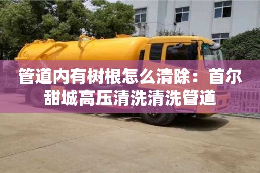 昆明管道內有樹根怎么清除：首爾甜城高壓清洗清洗管道