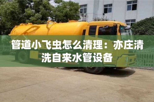 北京管道小飛蟲怎么清理：亦莊清洗自來水管設(shè)備