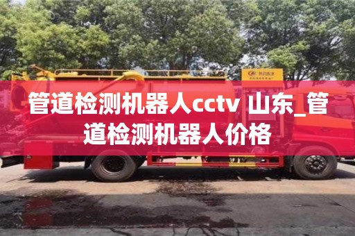 管道檢測(cè)機(jī)器人cctv 山東_管道檢測(cè)機(jī)器人價(jià)格
