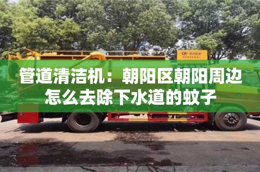 北京管道清潔機：朝陽區朝陽周邊怎么去除下水道的蚊子