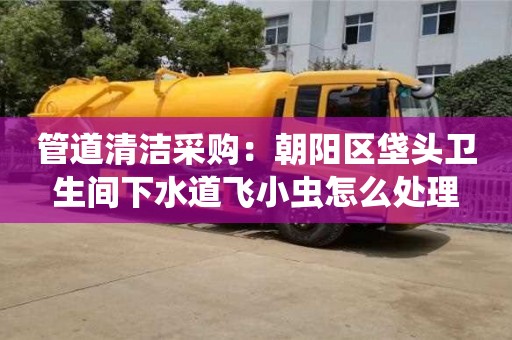 深圳管道清潔采購：朝陽區垡頭衛生間下水道飛小蟲怎么處理