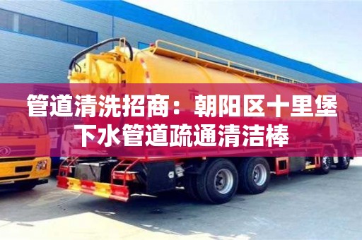 北京管道清洗招商：朝陽區十里堡下水管道疏通清潔棒