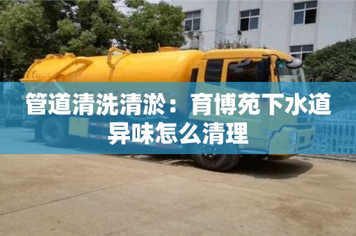天津管道清洗清淤：育博苑下水道異味怎么清理