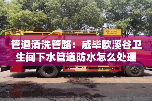北京管道清洗管路：威畢歐溪谷衛生間下水管道防水怎么處理