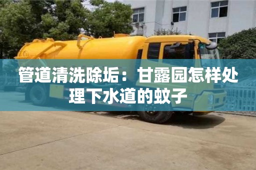 北京管道清洗除垢：甘露園怎樣處理下水道的蚊子