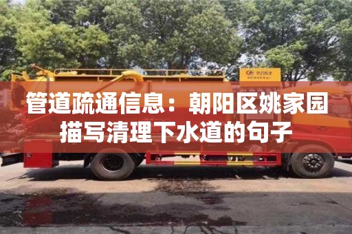 北京管道疏通信息：朝陽區姚家園描寫清理下水道的句子