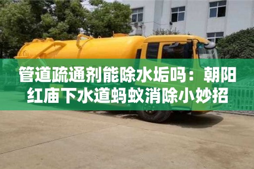 北京管道疏通劑能除水垢嗎：朝陽紅廟下水道螞蟻消除小妙招