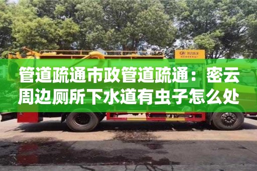 北京管道疏通市政管道疏通：密云周邊廁所下水道有蟲子怎么處理