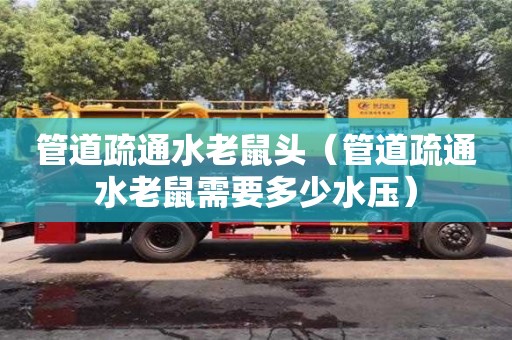 管道疏通水老鼠頭（管道疏通水老鼠需要多少水壓）