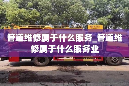管道維修屬于什么服務_管道維修屬于什么服務業