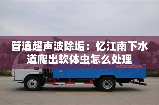 深圳管道超聲波除垢：憶江南下水道爬出軟體蟲怎么處理