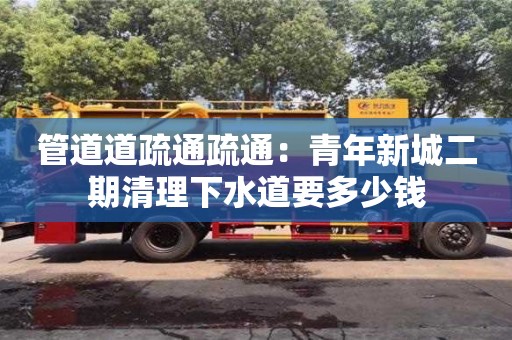 管道道疏通疏通：青年新城二期清理下水道要多少錢