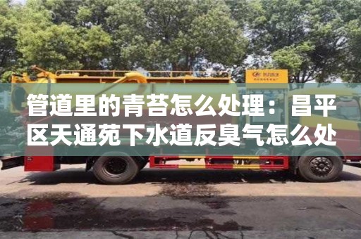 北京管道里的青苔怎么處理：昌平區天通苑下水道反臭氣怎么處理