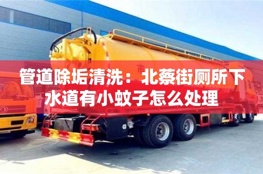 北京管道除垢清洗：北蔡街廁所下水道有小蚊子怎么處理