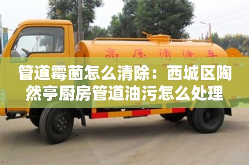 北京管道霉菌怎么清除：西城區陶然亭廚房管道油污怎么處理