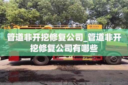 北京管道非開挖修復公司_管道非開挖修復公司有哪些