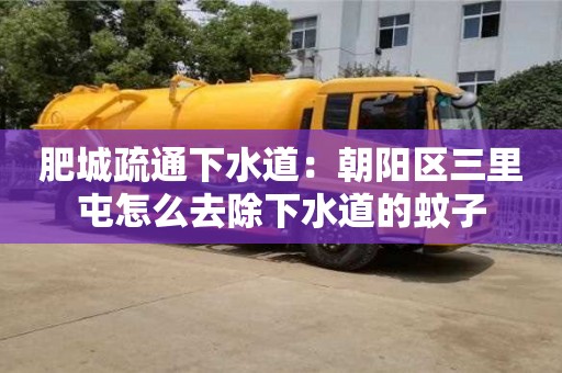北京肥城疏通下水道：朝陽區三里屯怎么去除下水道的蚊子