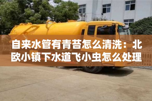 北京自來水管有青苔怎么清洗：北歐小鎮(zhèn)下水道飛小蟲怎么處理