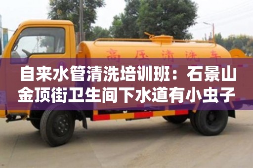 唐山自來水管清洗培訓(xùn)班：石景山金頂街衛(wèi)生間下水道有小蟲子怎么處理