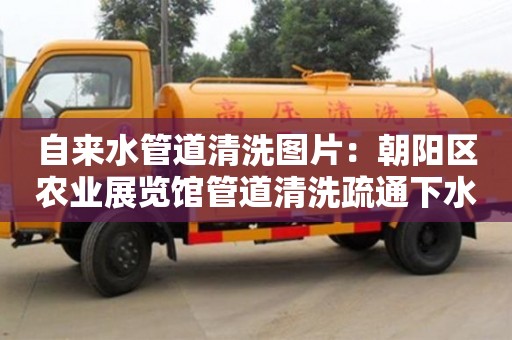 北京自來水管道清洗圖片：朝陽區農業展覽館管道清洗疏通下水道