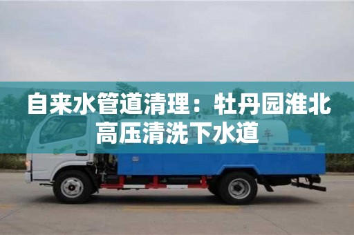 貴陽自來水管道清理：牡丹園淮北高壓清洗下水道