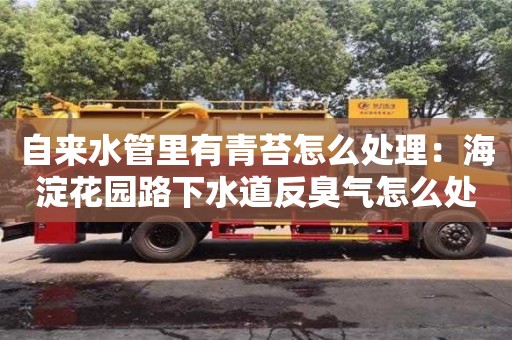 北京自來水管里有青苔怎么處理：海淀花園路下水道反臭氣怎么處理