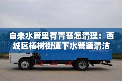 北京自來水管里有青苔怎清理：西城區椿樹街道下水管道清潔