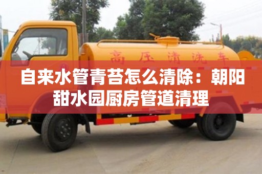 北京自來水管青苔怎么清除：朝陽甜水園廚房管道清理
