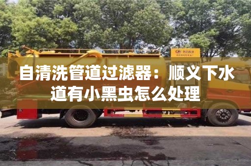 北京自清洗管道過濾器：順義下水道有小黑蟲怎么處理
