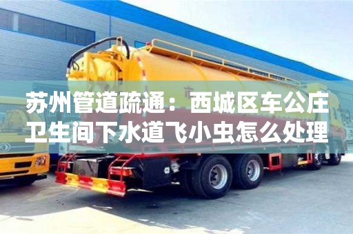 北京蘇州管道疏通：西城區車公莊衛生間下水道飛小蟲怎么處理