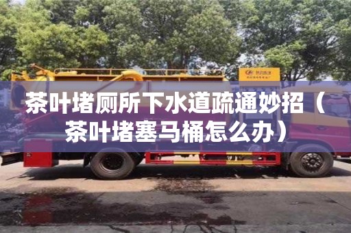 西安茶葉堵廁所下水道疏通妙招（茶葉堵塞馬桶怎么辦）